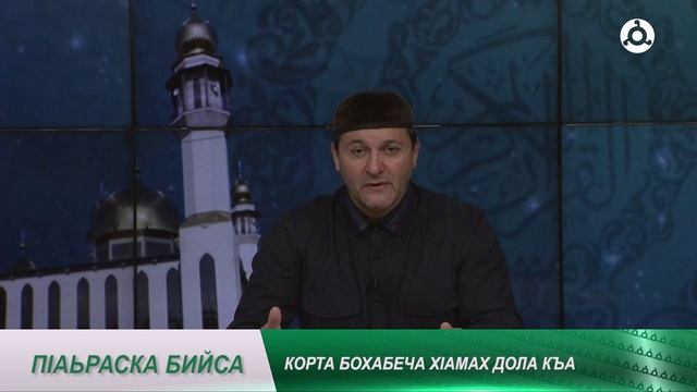 П1аьраска бийса. Корт бохабеш дола х1ама