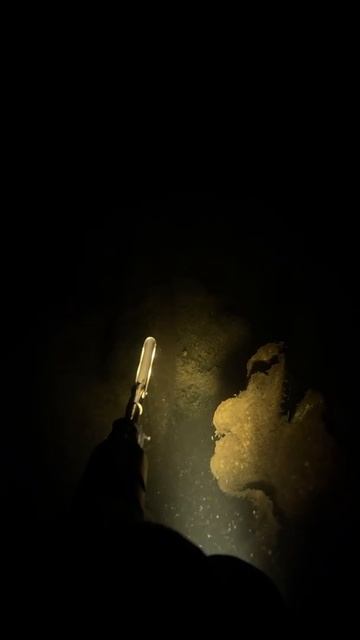 09.11.25-5 Водохранилище.