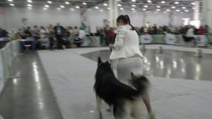 Моншер Вирсаль Гималай