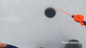 Думал что с прокопа рыба уходит в реку на зиму,но оказалось..!!