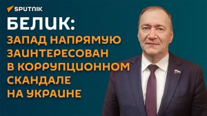 Белик: Запад напрямую заинтересован в коррупционном скандале на Украине