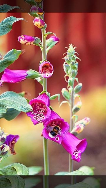 Любовь всегда права смотреть онлайн