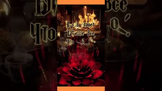 video_10437580952910.mp4