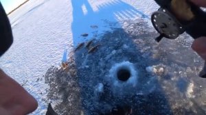 Открытие зимней рыбалки 2025-2026. Ловля окуня на ратлины на тундровом озере.