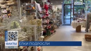 Минимальный новогодний набор из елки и украшений подорожал на 13%