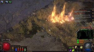 Лига-Хранители Пламени. #004. Игра Path of Exile
