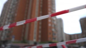 В одном из районов Москвы ввели карантин из-за вспышки бешенства