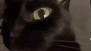 Простите за долгий неактив учеба 😞