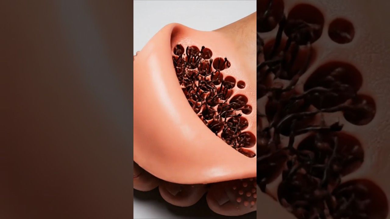 АСМР Экстремальное ASMR-обновление стоп | Ультраплавная трансформация пилинга смотреть онлайн