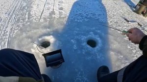 КАК Рыбачат СПОРТСМЕНЫ? Это ОКУНЁВЫЙ КОНВЕЕР! Ловля Окуня зимой. Первый лед 2025-26. Зимняя рыбалка.