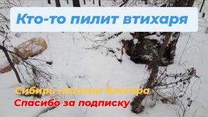 Чёрные лесорубы пилят дровишки.