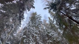 Ленинградская обл.,Выборгский р-н,д. Александровка,д. 4