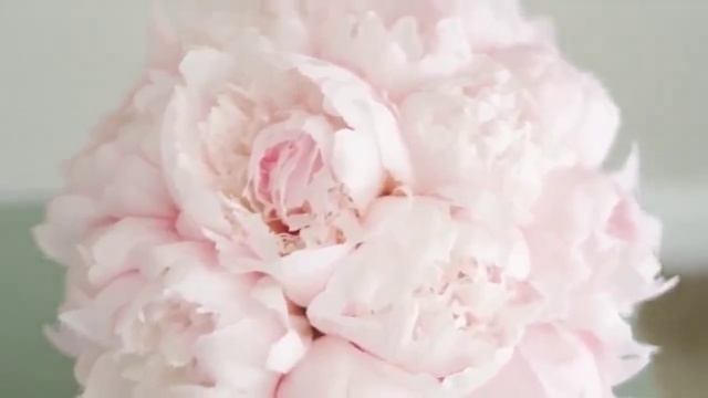 Гаряев-Матрицы.РФ__Изменить жизнь, откорректировать судьбу реально Медитация для самостоятельной-tmp смотреть онлайн