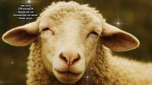 Музыка для сна. Колыбельная про овечек. Релакс уснуть