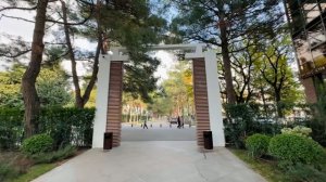 Сквер отеля Приморье Геленджик