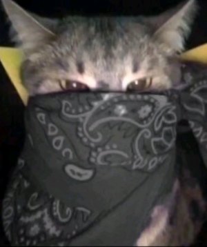 общаюсь с подписчиками и с друзьями