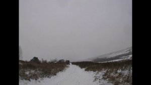 Охота на зайца 2025-2026 открылся