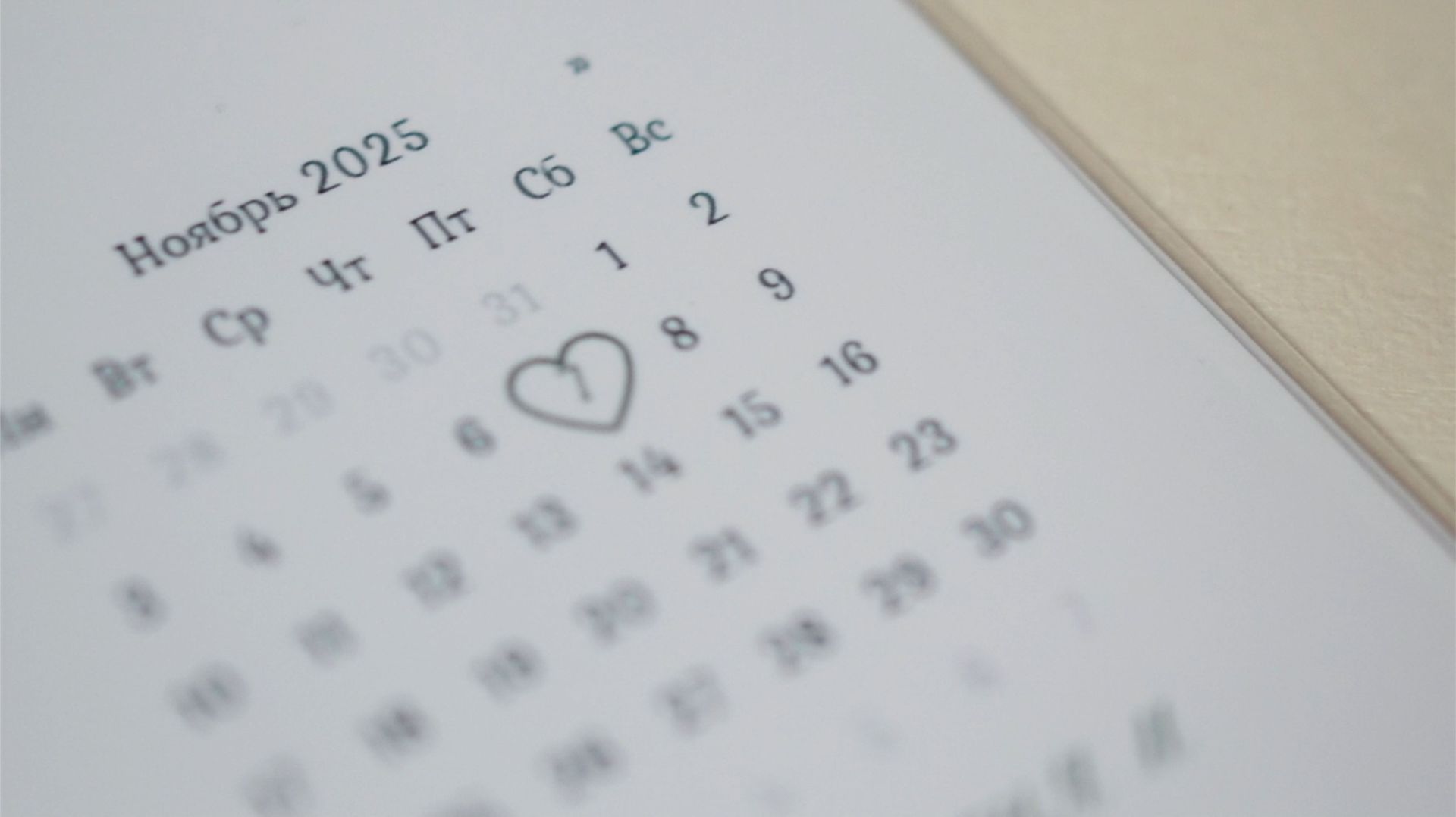 Иван и Светлана инстаклип