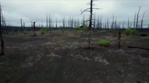 трейлер главной дороги от 22.11.2025 г.