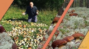 Люблю тебя, мой край родной!