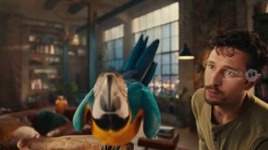 Попугай Хэй!!