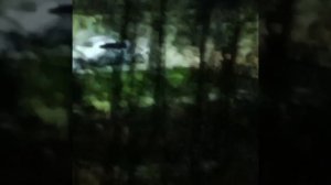 {18:31}— я спать, завтра в школу^_^