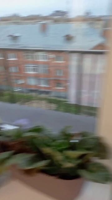 1000173103.mp4 смотреть онлайн