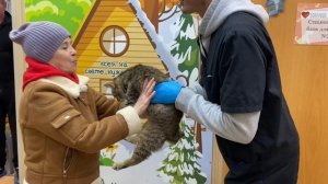 Была выброшена с котятами в коробке... А теперь сама стала чьим-то сокровищем! | Линси