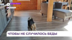 В Уссурийском округе пожарные начали работу по оснащению деревянных домов дымовыми датчиками