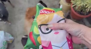 Спасибо нашим подписчикам за новые игрушечки.