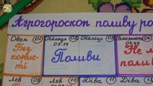 Декабрь 2025: Когда Правильно Поливать для Здоровья Растений?