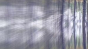 DIGGERS-ОТЩЕЛЬНИК