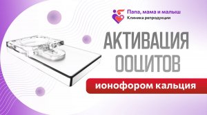 Активация ооцитов