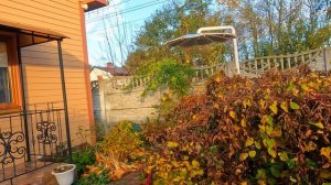 Поездка в Калининград октябрь 2025