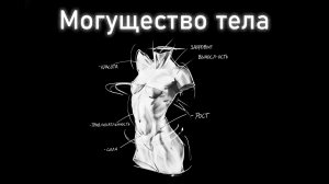 Тело человека и его могущество. Глава 38. Часть 2. Введение в автоэволюционику