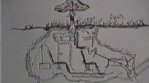 Ленин гриб!!!