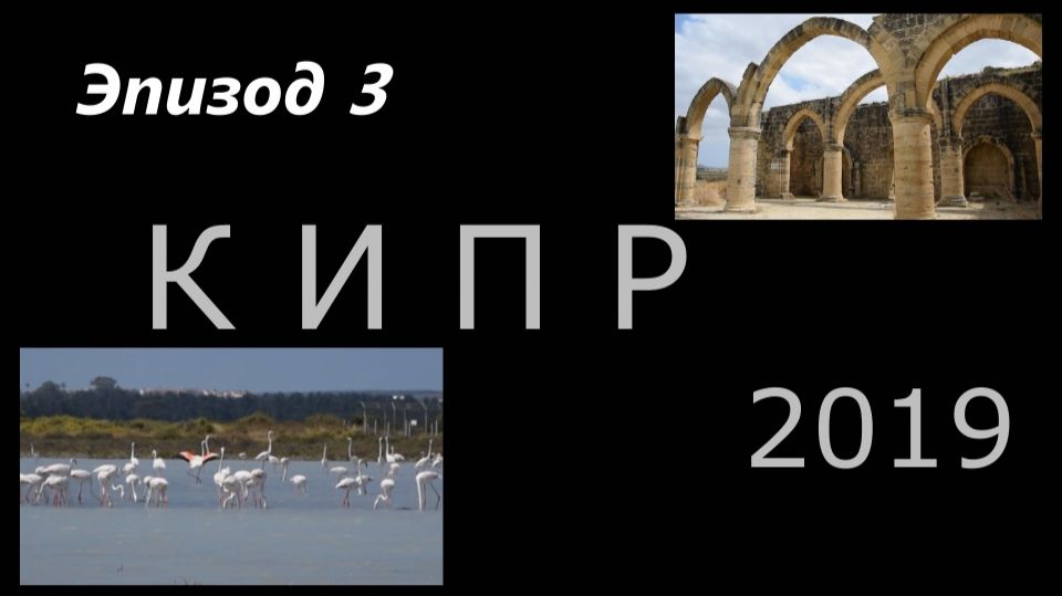 Кипр. Фламинго. Камень Афродиты. Эпизод 3.