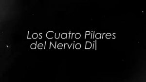 БОЖЕСТВЕННЫЙ НЕРВ (Блуждающий нерв) Активируйте его за 4 минуты, чтобы привлечь все, что вы ХОТИТЕ