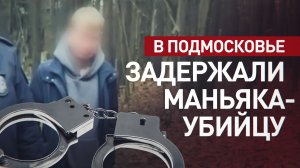 В Подмосковье задержан маньяк, заманивавший женщин под видом работы няней