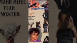 Карина и продлевашки