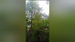 Я люблю спорт! ⚽️🏒🏓🏀🎿