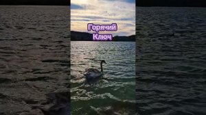 Горячий Ключ, городское озеро, 31.10. 2025г.