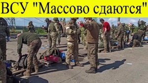 Сводка СВО на 20 ноября. ВСУ Массово сдаются. СМИ сообщили Киеву плохие новости в зоне СВО