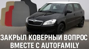 Салонные коврики Element в мою SKODA Fabia 2 2008 года