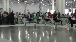 Класс чемпионов