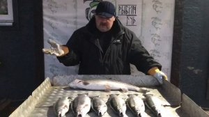 хороший улов форели