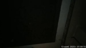 13.11.2025 алки орут ночью кв4. Результат деятельности полиции. Оренбург.