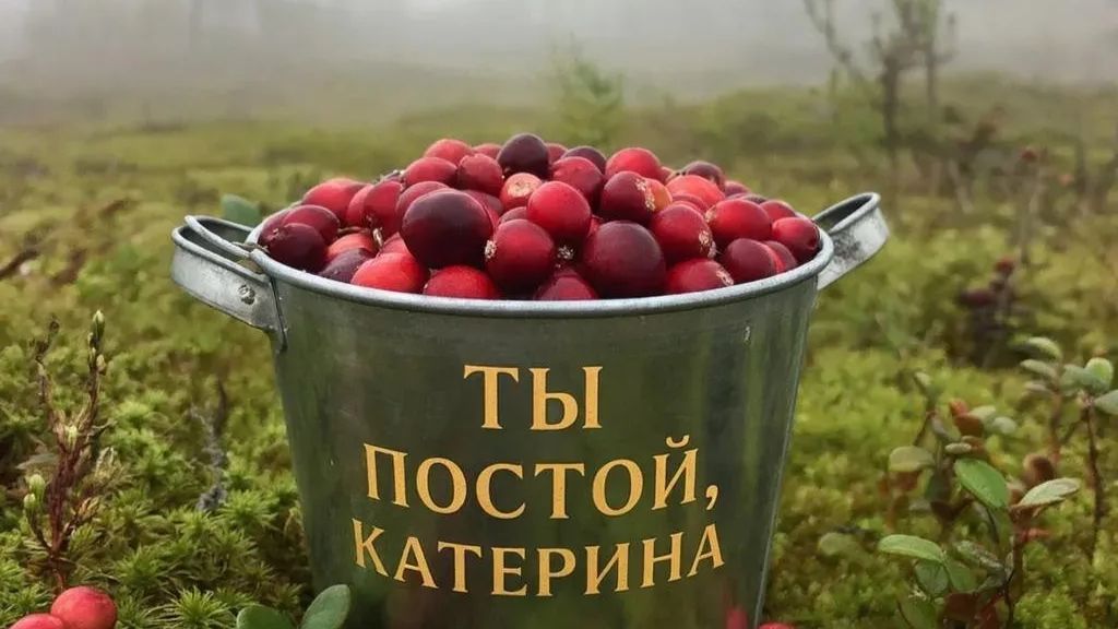 Ты постой Катерина сл. Якушев Н. В. Муз. Suno. Фото Giga Chat. Max.