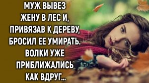 Муж оставил жену в лесу и уехал, волки уже приближались как вдруг…