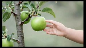 Рассказ Сломанная веточка